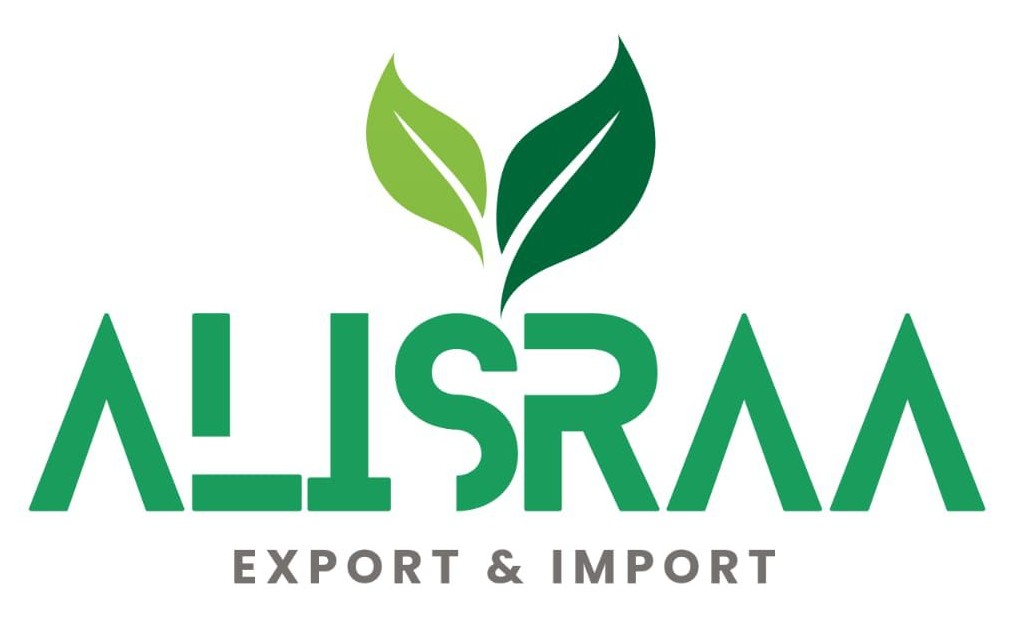 logo img